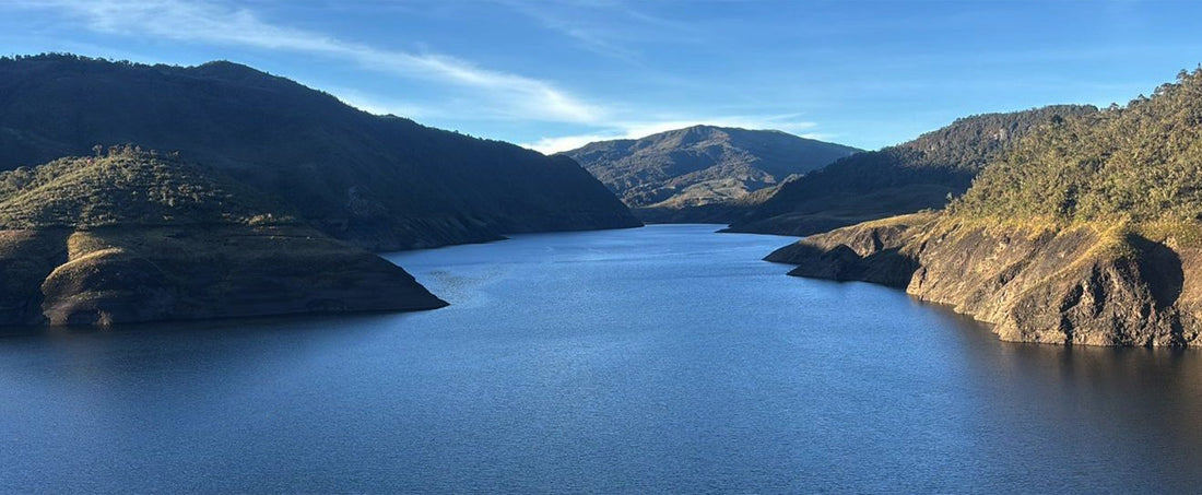 Enfrentando Desafíos Hídricos