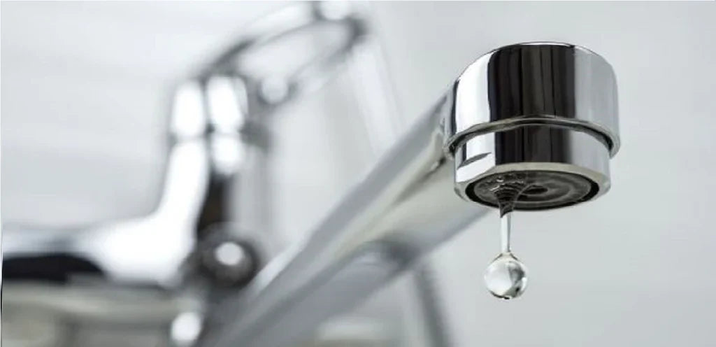 ¿Cómo ahorrar agua desde casa?