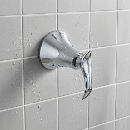 Registro Ducha Tedesca